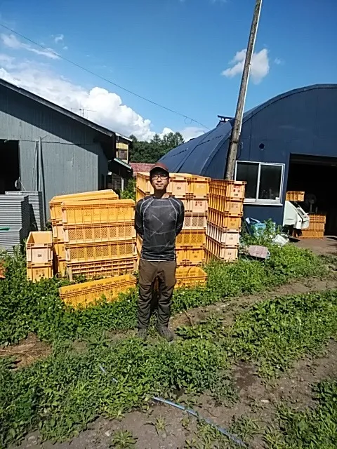 にんにく生産農家